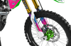 Kawasaki Graphics Kit - Troy Pink