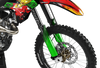 Kawasaki Zombie Graphics Kit -  Elsa