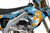 Kawasaki  Hissing Kittys Graphics Kit - PATCHED MINSKIN