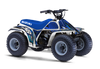 Suzuki LT50 ATV Graphics - Pace