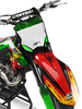 Kawasaki Zombie Graphics Kit -  Elsa