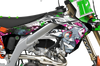 Kawasaki Hissing Kittys Graphics Kit - FRIED
