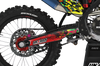 GasGas Zombie Graphics Kit -  Lion