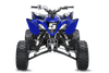 Yamaha YFZ450 Graphics Kit - buzz