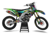 Kawasaki Zombie Graphics Kit -  Lion