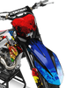 Kawasaki Zombie Graphics Kit -  Alvin & Chipmunks