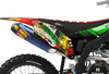 Kawasaki Zombie Graphics Kit -  Elsa