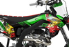 Kawasaki Zombie Graphics Kit -  Elsa