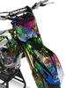 Kawasaki Zombie Graphics Kit -  Lion