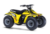 Suzuki LT50 ATV Graphics - Flash