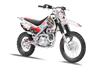 KLX140 Graphics Kit - Zombie Blood