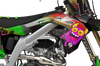 Kawasaki Moaning Monsters Graphics Kit -  Tiger Thumb