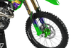 Kawasaki Zombie Graphics Kit -  Barbie