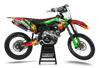Kawasaki Zombie Graphics Kit -  Elsa