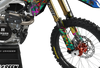 Kawasaki Zombie Graphics Kit -  Lion