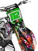 Kawasaki Hissing Kittys Graphics Kit - FRIED