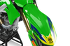 Kawasaki Trim Decal Kit - Buzz